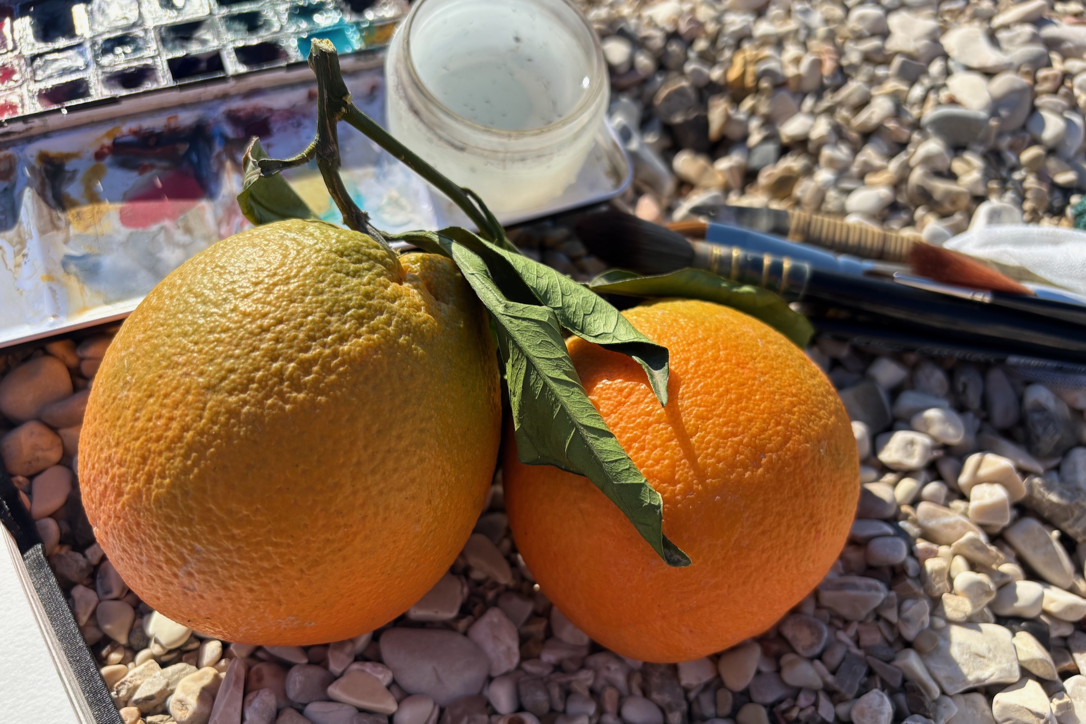 Orange Albanian oranges.