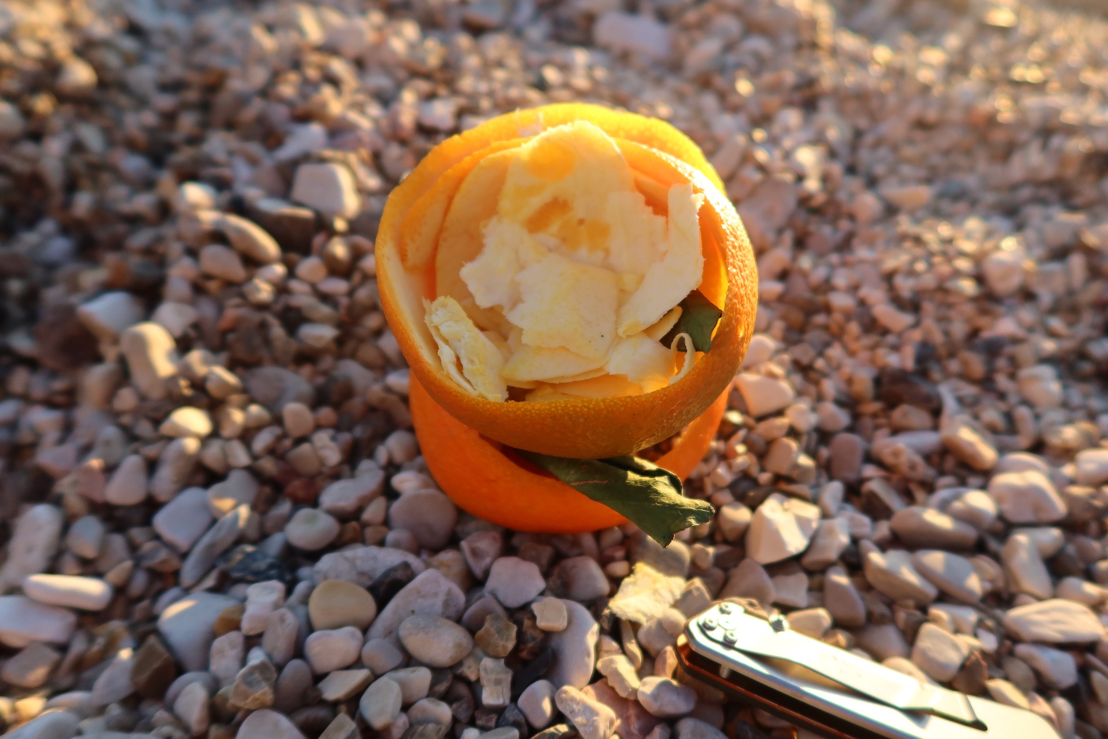 Orange Orange peels.