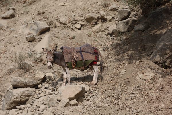 pamir highway photography pigments route 02