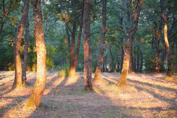 sunset sunrise photography pigments route 04